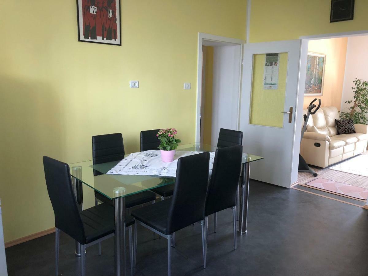 Apartma Mahnic Postojna Zewnętrze zdjęcie