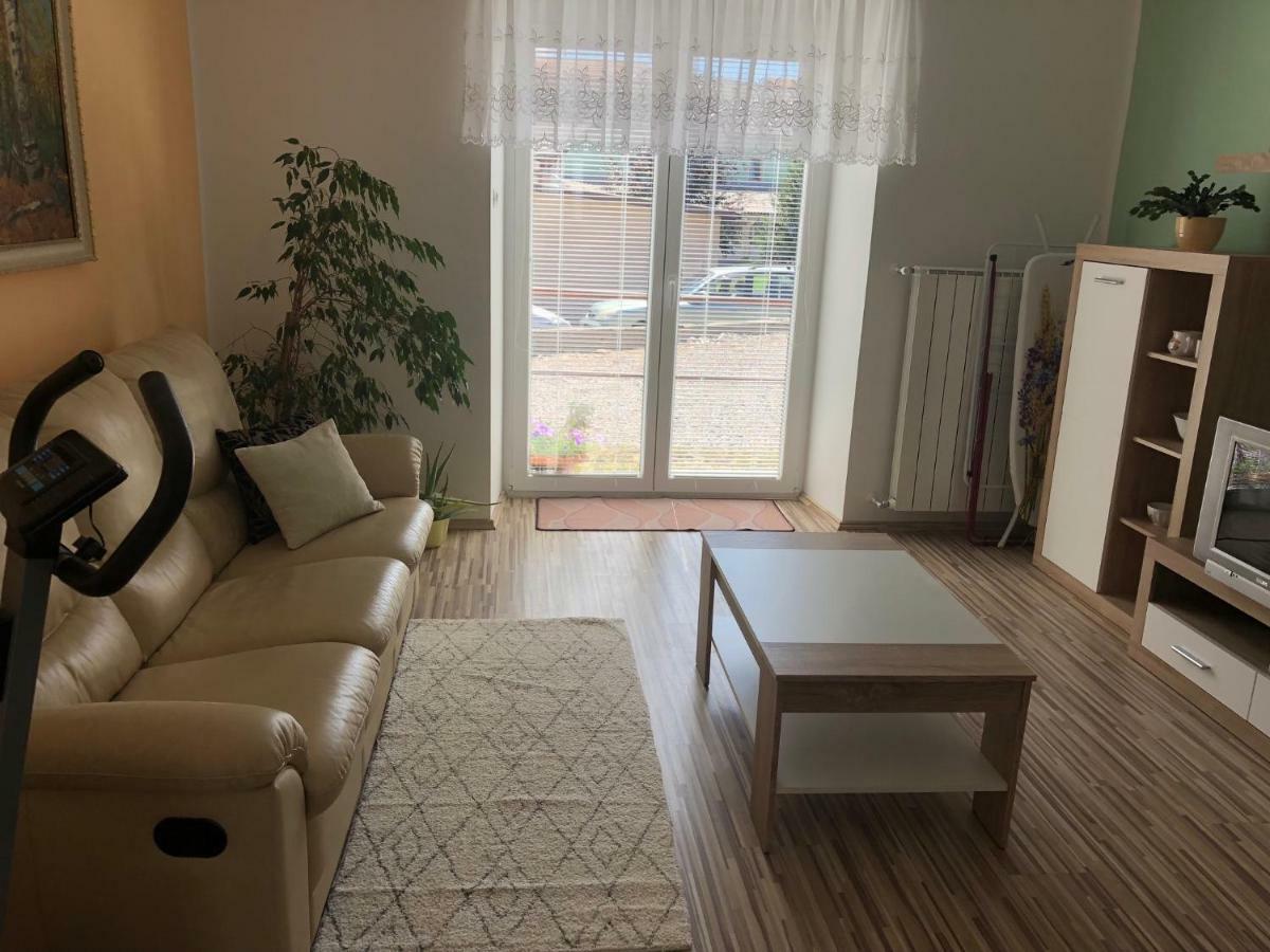 Apartma Mahnic Postojna Zewnętrze zdjęcie