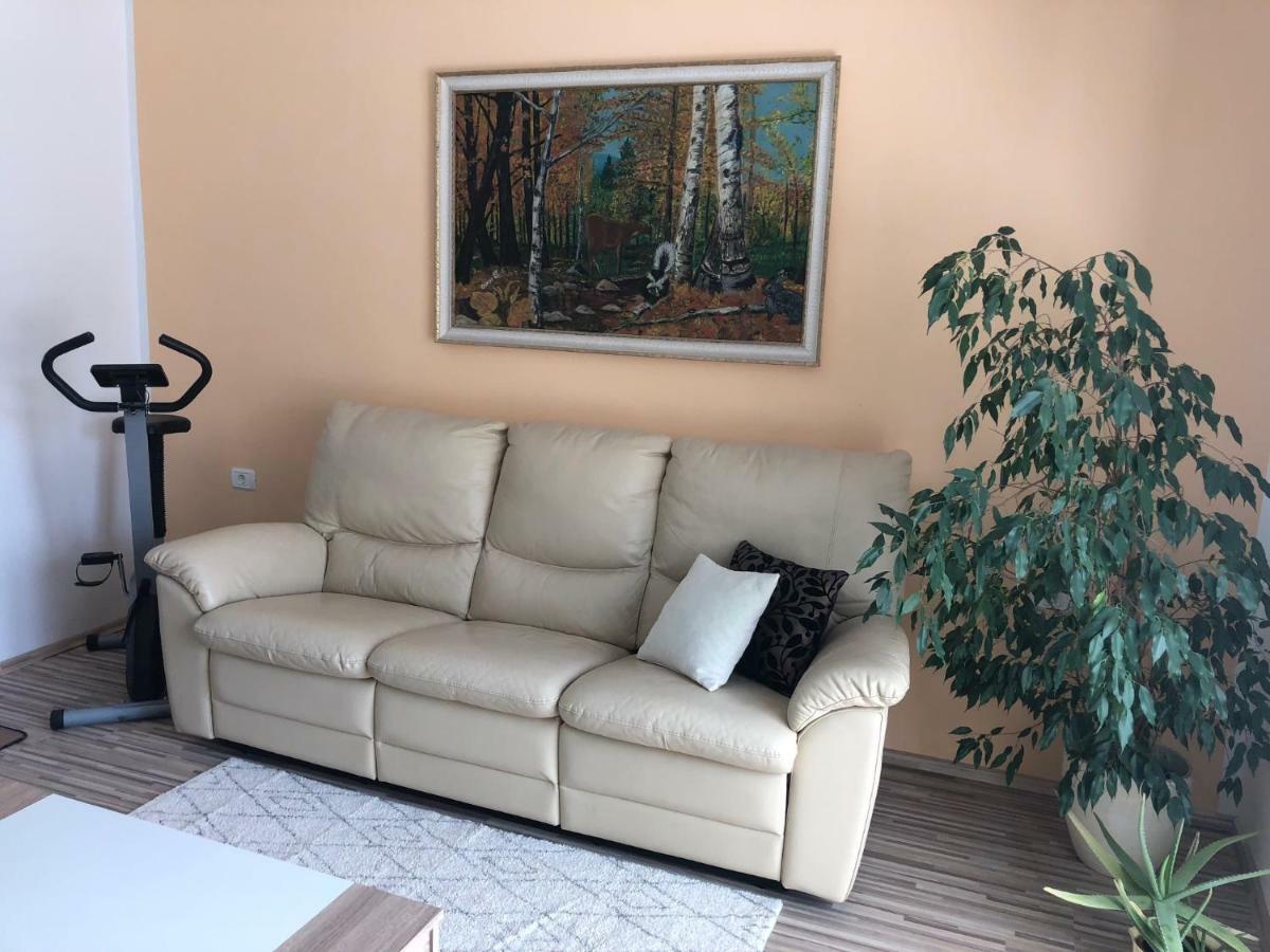Apartma Mahnic Postojna Zewnętrze zdjęcie